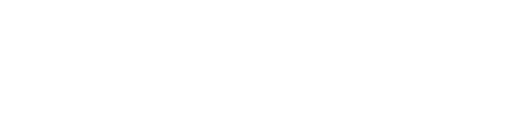 Emphas Whizz Tech Footer Logo